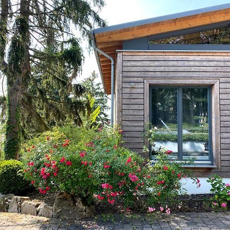 Balthasar Ress Guesthouse Am Rebhang Im Rheingau Oestrich-Winkel Zewnętrze zdjęcie