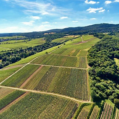 Balthasar Ress Guesthouse Am Rebhang Im Rheingau Oestrich-Winkel Zewnętrze zdjęcie