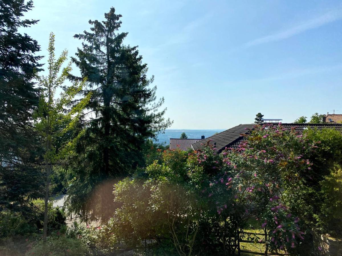Balthasar Ress Guesthouse Am Rebhang Im Rheingau Oestrich-Winkel Zewnętrze zdjęcie