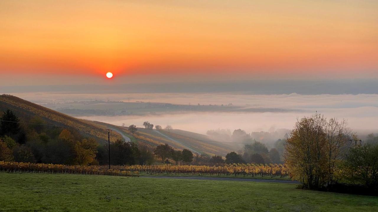 Balthasar Ress Guesthouse Am Rebhang Im Rheingau Oestrich-Winkel Zewnętrze zdjęcie