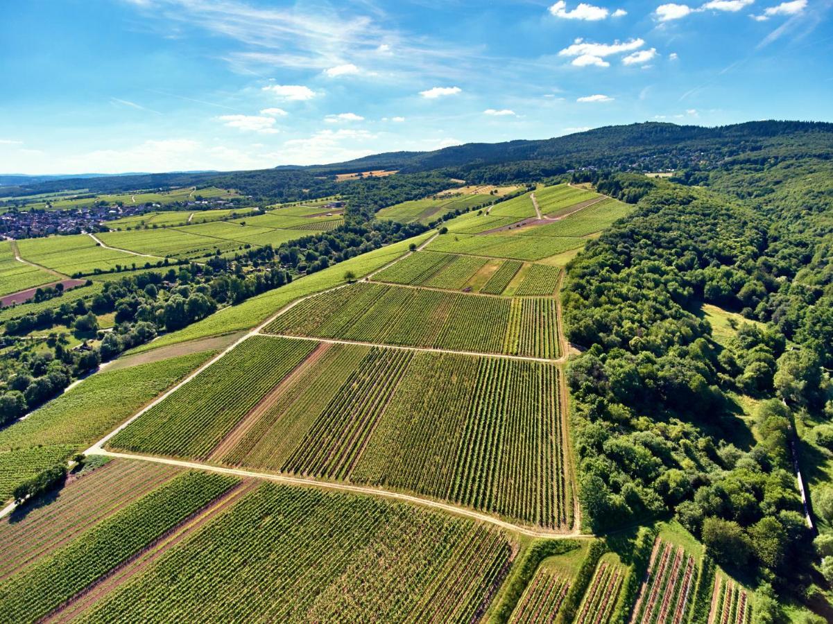 Balthasar Ress Guesthouse Am Rebhang Im Rheingau Oestrich-Winkel Zewnętrze zdjęcie